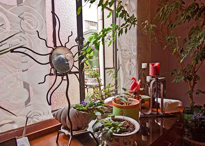 Condechi México DF