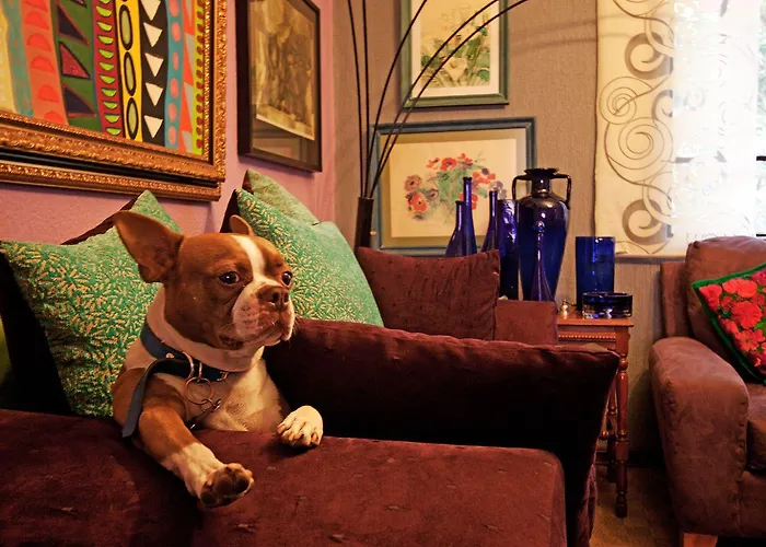 Condechi Bed and breakfast 3*