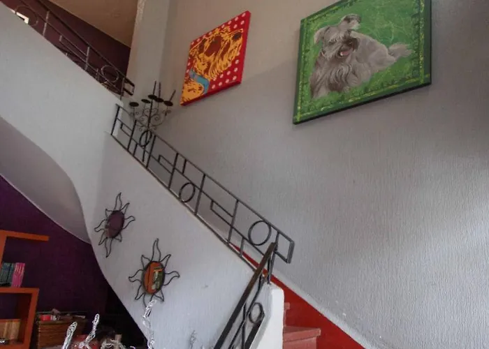 Condechi Bed and breakfast
